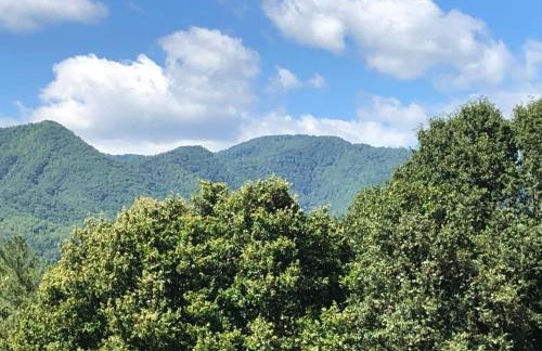 Cochran Farm House - Foto 26