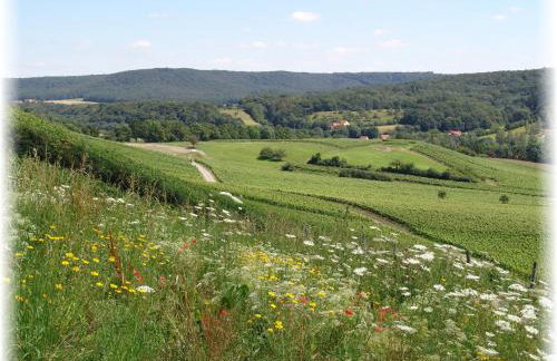Ferienwohnung Pfrang - Foto 33