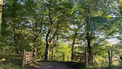 Private detached cottage sleeps 4 - Foto 3