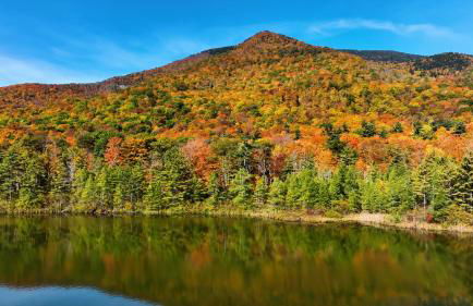 Equinox Resort Residences - Foto 55