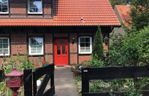 Welsh Dragon - Foto 20