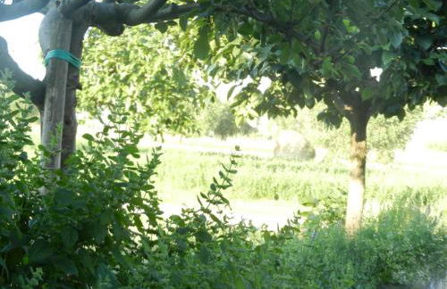 Il Gheriglio - Foto 32