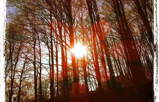 B&B da Ronald...a Pian del Papa - Foto 21