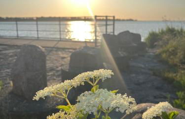 Ferienwohnungen Glückstadt - Foto 56