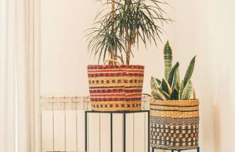 Vale Pisco - Photo 90