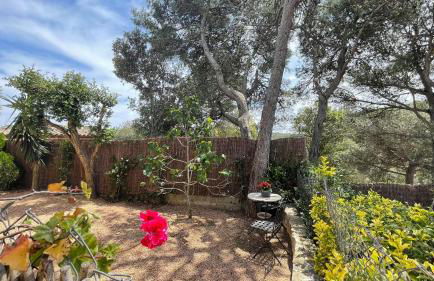 Bellavista - Foto 56