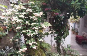 Muito espaço e natureza no meio da cidade - Foto 35