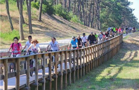 Acolhedora casa de férias T2 com espaço exterior - Foto 51