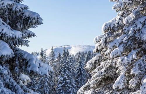 Haus Weitblick - Fewo Herzogenhorn - Bernau, Schwarzwald - Foto 13