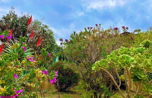 Villetta La Risacca - fronte mare - seafront - Foto 82