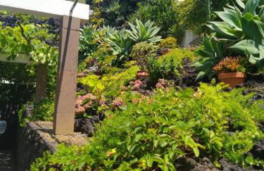 Casa Belcanto da Fajã - Photo 5