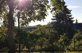 Haus am Mühlenberg - Foto 13