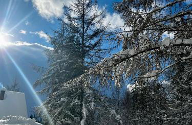 Domek pod Modrzewiem - Foto 7