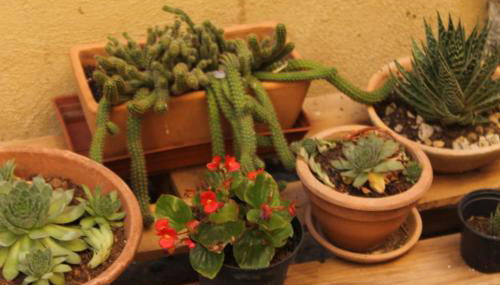 Casa Ernesto-AMICA DEI CICLISTI - Foto 2