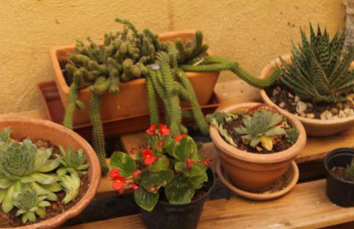 Casa Ernesto-AMICA DEI CICLISTI - Foto 2