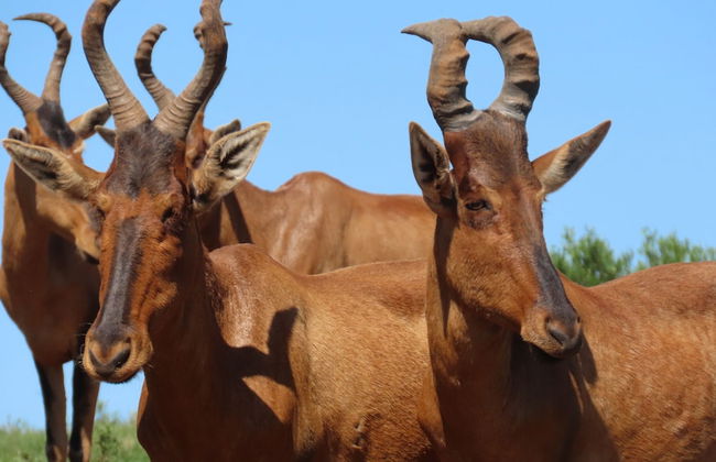 Little Sister's Self Catering - Photo 39