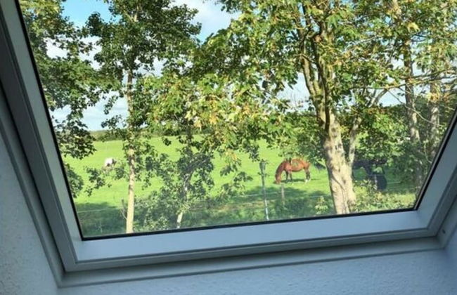 Holiday Home Maja am See - Foto 42