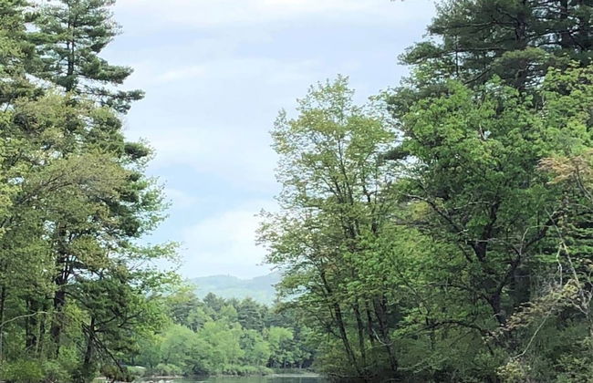 Rivers Edge - Photo 21