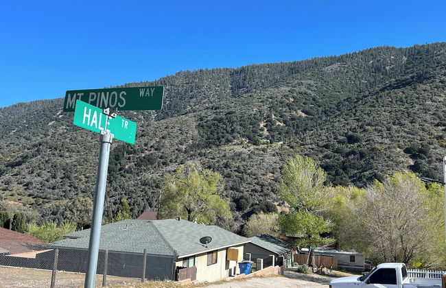 Hummingbird Mountain Cottage - Photo 49