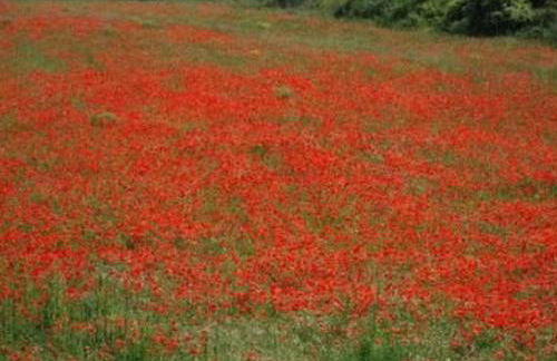 Apartment Die kleine Zikade by Interhome - Foto 24