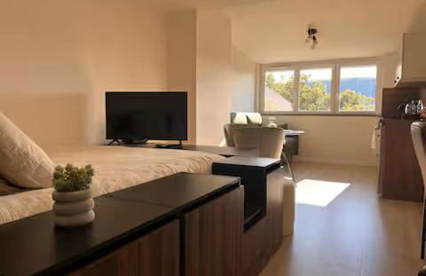 Appartement Le nid sur l'Ain - Foto 1