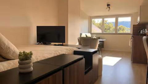 Appartement Le nid sur l'Ain - Foto 1