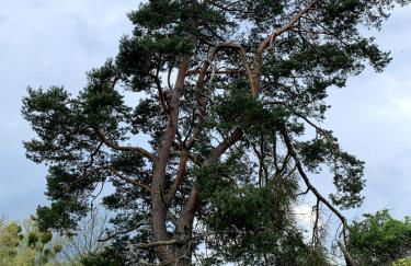 Große Loft im Naturschutzgebiet mit eigenem Garten - Photo 48