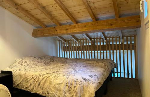 Les violettes - Foto 2