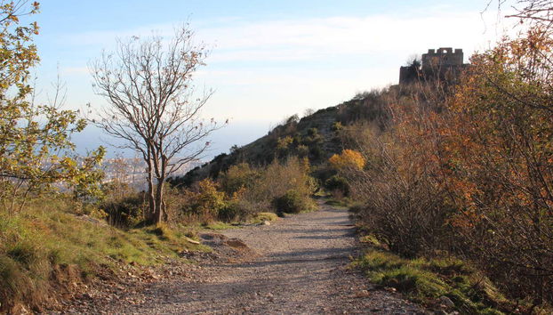 Connect with the natural landscape