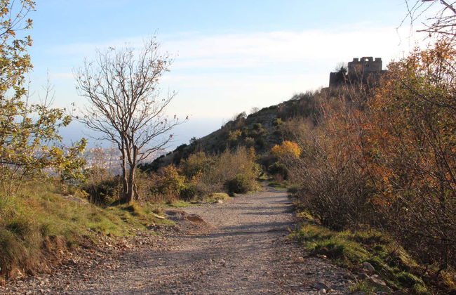 Hiking Parco delle Mura - Photo 6