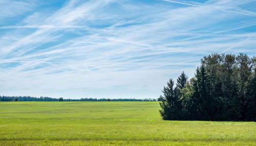 Haus Rosengarten - Foto 3