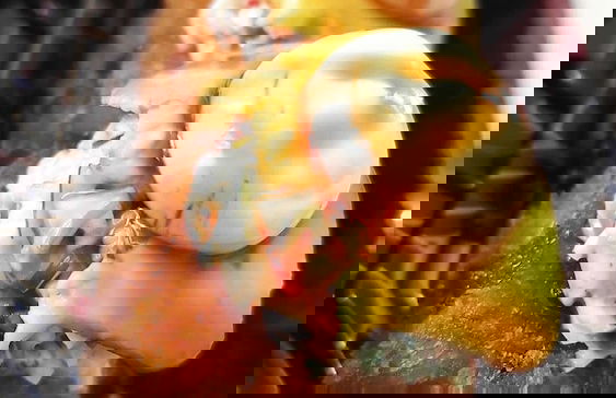 Costa Love Aparta-Hotel - Foto 42