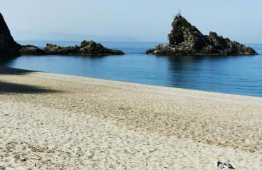 La Terrazza di Rovaglioso - Photo 75