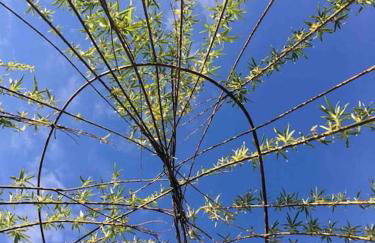 Moors Wood Relaxing ,Tranquil retreat with Hot Tub - Foto 16