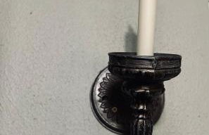 Mr. McGregor’s Garden - Foto 17