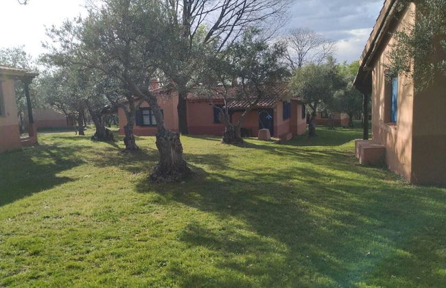 Aldea Vetonia Alojamientos con Encanto Parque de Mascotas-NO SE ACEPTAN EN JULIO Y AGOSTO- Varias zonas infantiles y deportivas "encuentranos y reserva para verano" - Foto 118