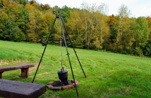 Leśna Muzyka Apartment Limanowa - Photo 33