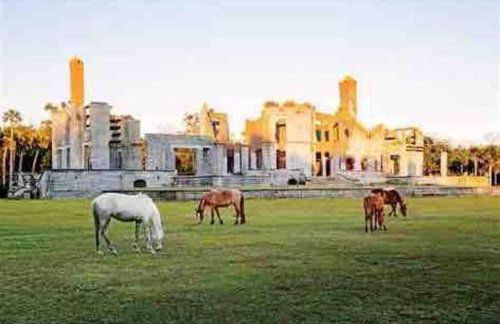 Adorable French Cottage style - 1 bedroom. - Foto 22