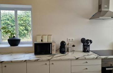 Pura Vida - Photo 24