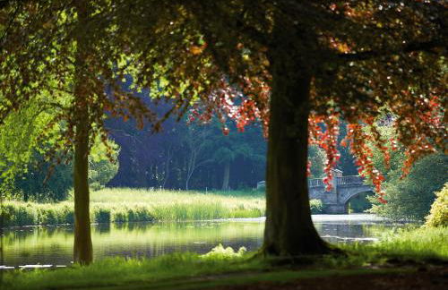 The Knoll Tower - Foto 29