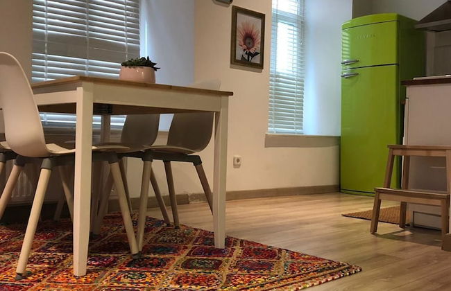 Flats Company Ajda Apartment - Foto 10