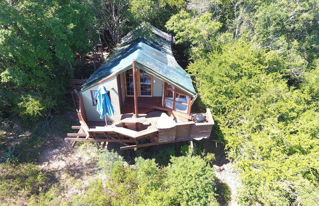 Teniqua Treetops - Foto 30