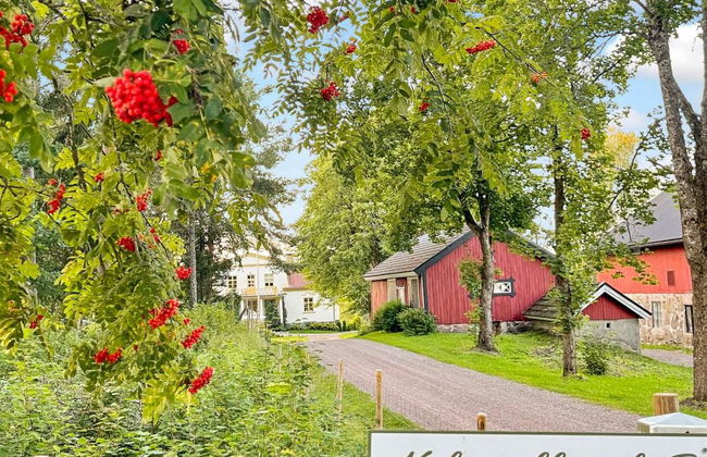 Peltosirkku - Foto 40