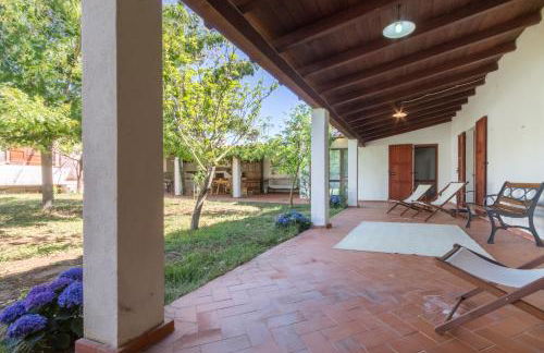 Abba Arrubia - Foto 6