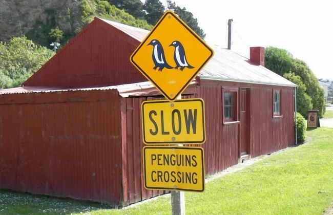 Oamaru Holiday Homes 28 Ure Street - Foto 18