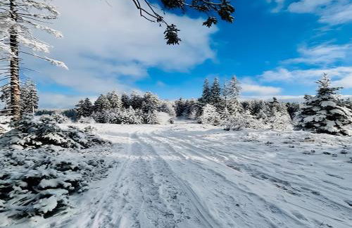 Schwarzwald Nescht Triberg - Foto 3