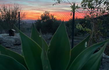 Casa Rubito el Olmo - Foto 39