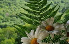 Apartamentos Rurales El Bosque de las Viñas - Photo 24