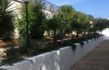 The Desmais - Foto 112