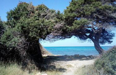 Corona's Apartment- Fronte Spiaggia - Foto 34